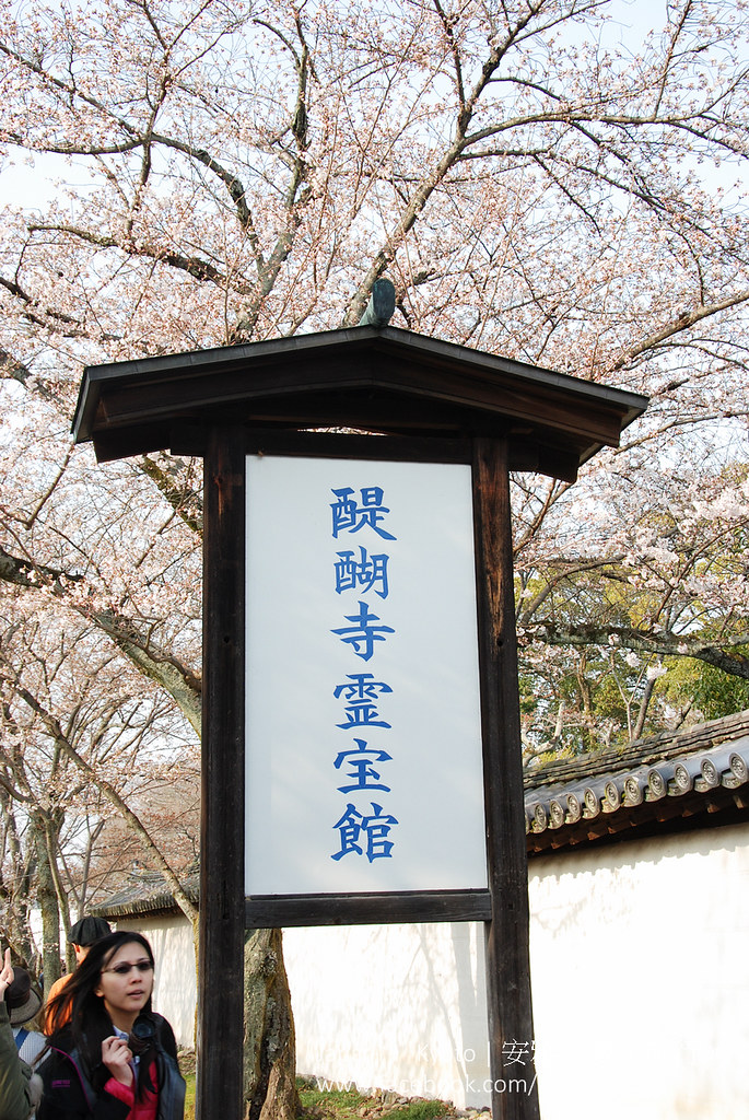 京都赏樱 醍醐寺