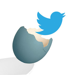 Emerging Media - Twitter Bird