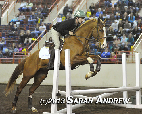 Alluring Punch and Steuart Pittman at the PA Horse World Expo