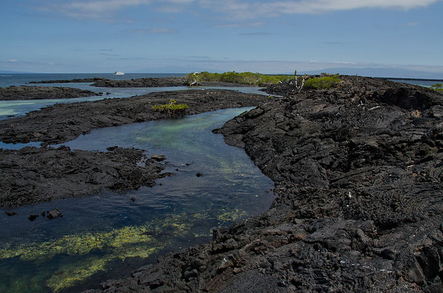 Galapagos: Isla Isabela