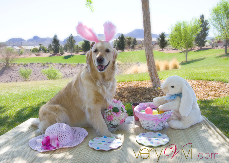 Picnicking With The Easter Bunny