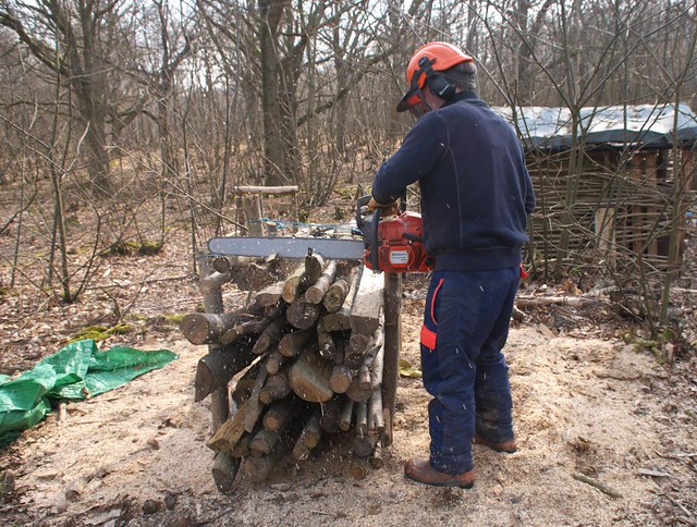 DSC_6077 chainsawing logs