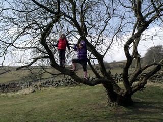Georgia and Emily up a tree