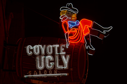 Coyote Ugly Saloon, Beale Street, Memphis, Tennessee