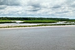 Ucayali River - Amazonia