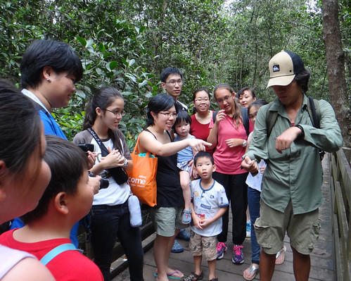 People on a free guided tour of Pasir Ris mangroves by the Naked Hermit Crabs