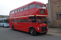Routemaster Buses