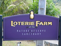 ST Maar Loterie Farm