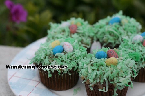 Robin's Egg Nest Easter Cupcakes 6