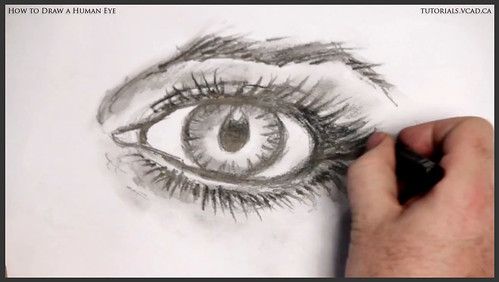 learn how to draw a human eye 030