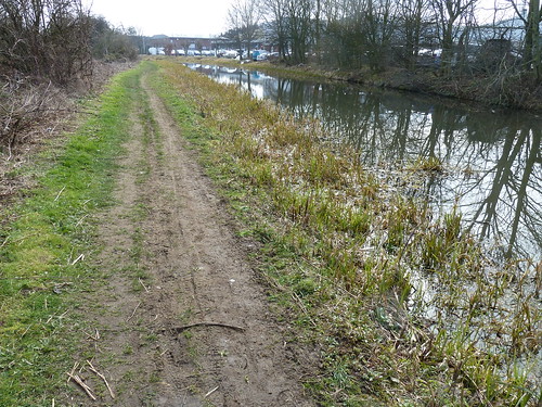 A walk on the Chesterfield Canal [from Worksop to Shireoaks Marina]