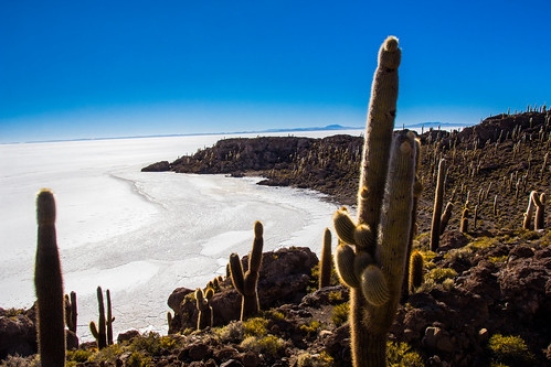 Bolivia - SaltFlats-3781