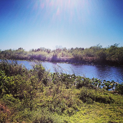 Zachary requested this shot :) #florida #everglades #igersftl