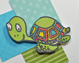Turtle Close-Up