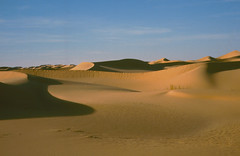 Sahara - March/April 1988