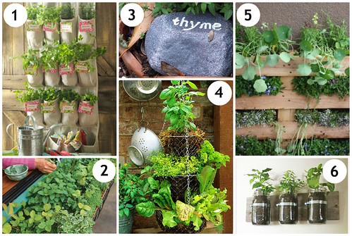 Mrs. Fields Secrets Herb Garden Ideas