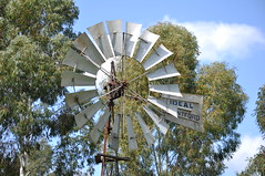 Foreign Windmills In Australia 