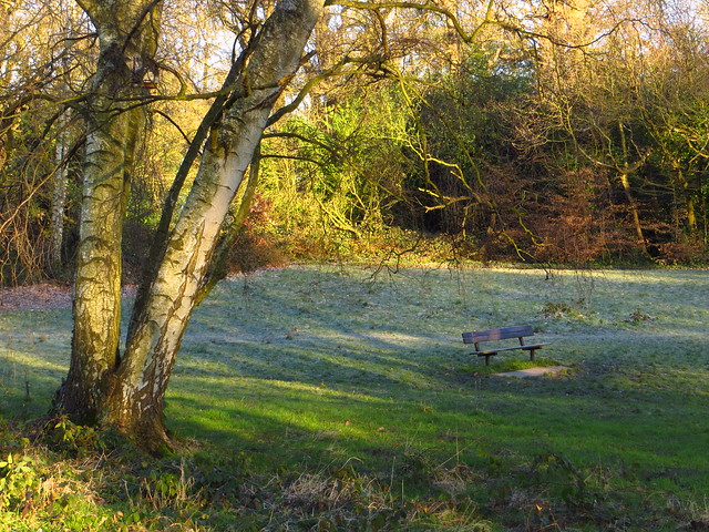 The South Meadow