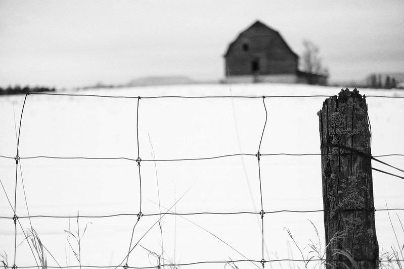 Old Barn Through Fence