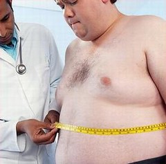 WHO/UNEP在研究報告中指出肥胖與環境荷爾蒙之間的關聯。(照片提供：社會健康局)
