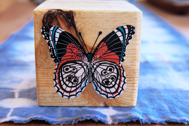 Butterfly on Wood