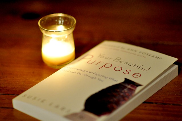 Your Beautiful Purpose by Susie Larson