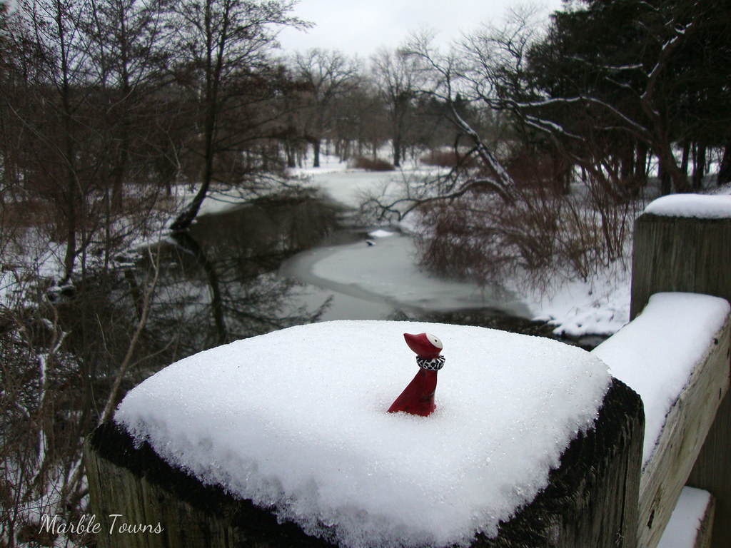 Poppet in winter landscape-1.JPG