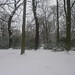 Schnee in Leipzig 129