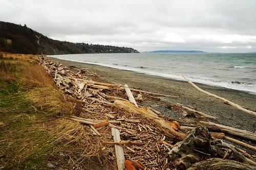 Random driftwood on the beach, Discovery Park, Seattle, Washington, USA by Wonderlane