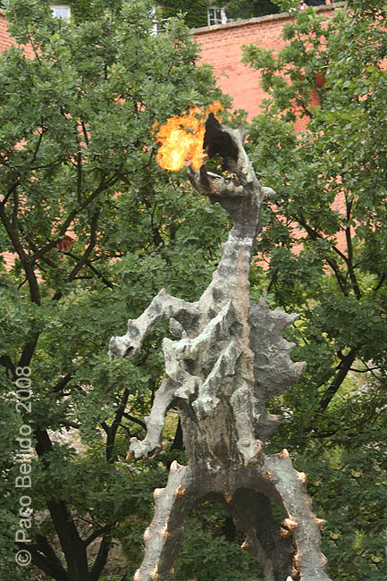 El dragón de Cracovia. © Paco Bellido, 2008