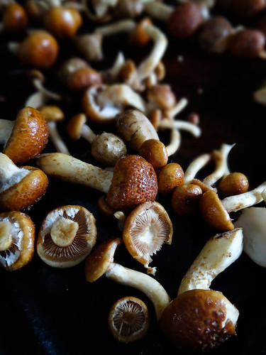 roasted sunchoke + chestnut mushroom penne // arugula