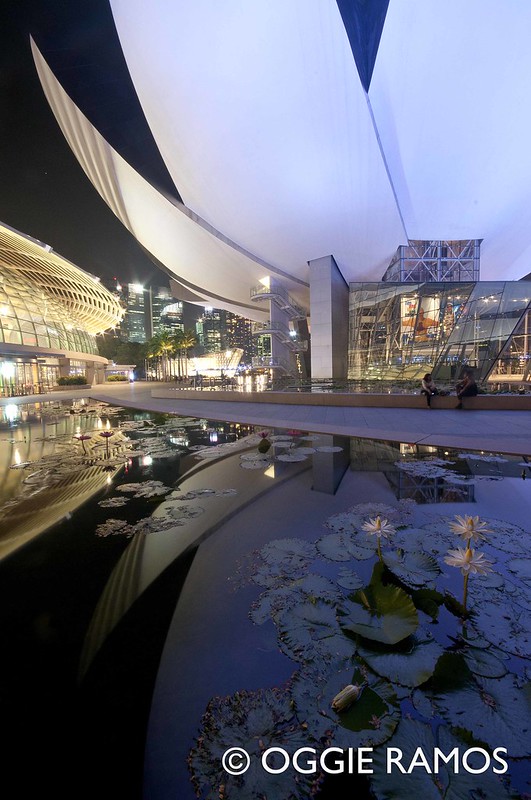 Singapore Lotus Museum Reflections