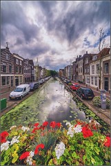 Netherlands September 2016