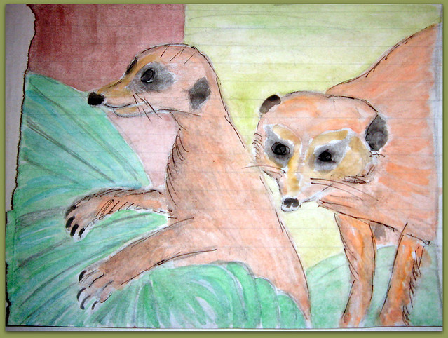 04-Meerkats and Owls Gufo, gufetto, suricato, suricati, 