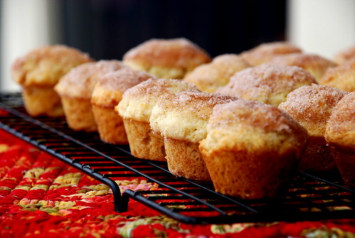 Cinna-Mini Donut Muffins