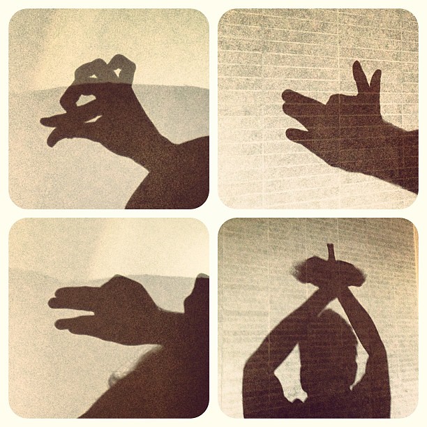 Animal shadow puppets