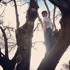 Tree Climbing.