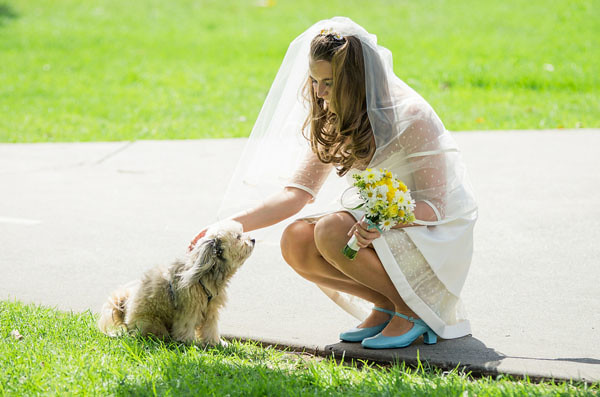 bride short wedding dress dog yellow bouquet