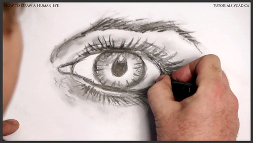 learn how to draw a human eye 029