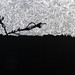 林羿束‧風的皺褶 II‧木刻版畫、油印手工棉紙‧ 62×39.5cm-15版‧2012