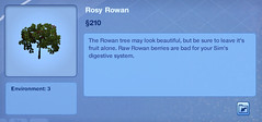 Rosy Rowan