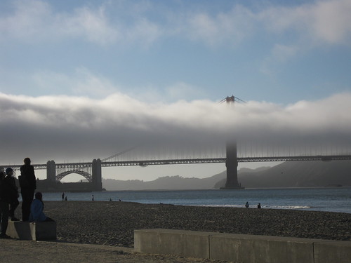 59/365: Fog Along the Bridge by doglington