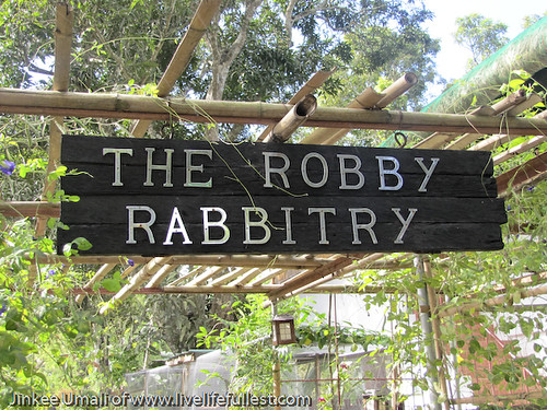 Robby Rabbitry Farm by Jinkee Umali of www.livelifefullest.com