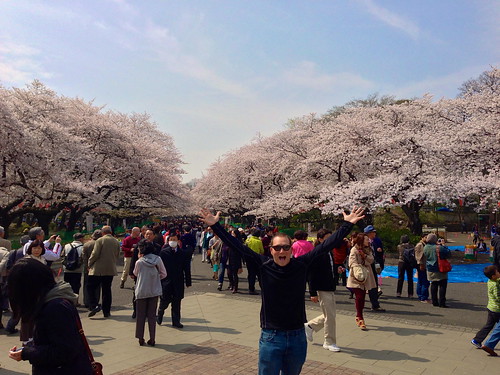 Greg at Tokyo's Ueno Park Cherry Blossoms