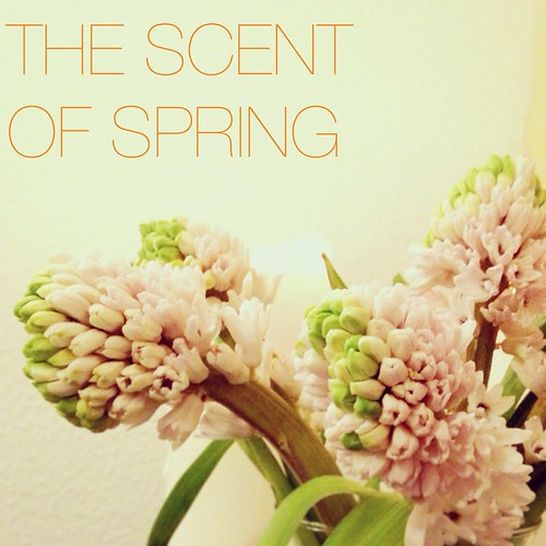 The Scent of  Spring