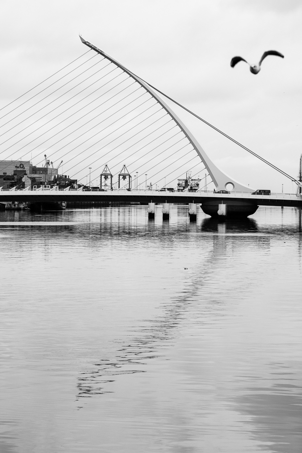Dublin bridge, par Franck Vervial