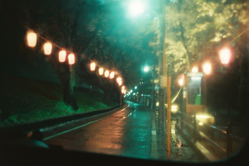 cold spring rain and cherry blossoms at night