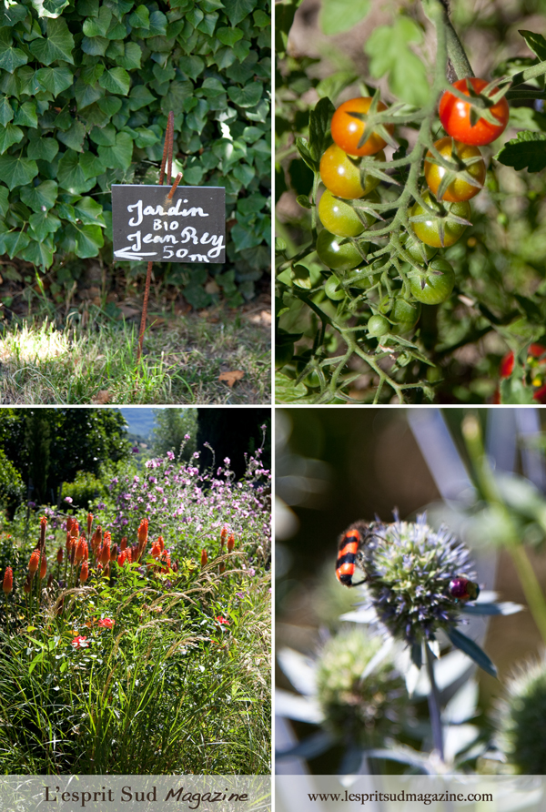 Organic chef garden - La Bonne Etape