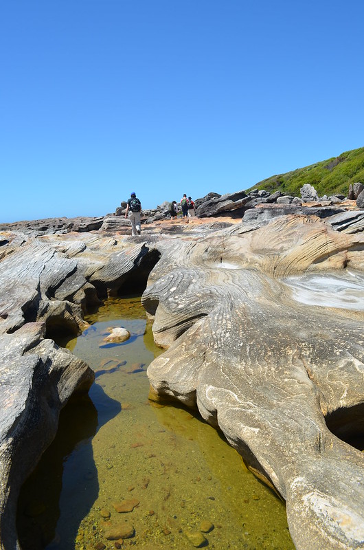 Depending on tides, sections of the walk can be taken along the rocky shoreline