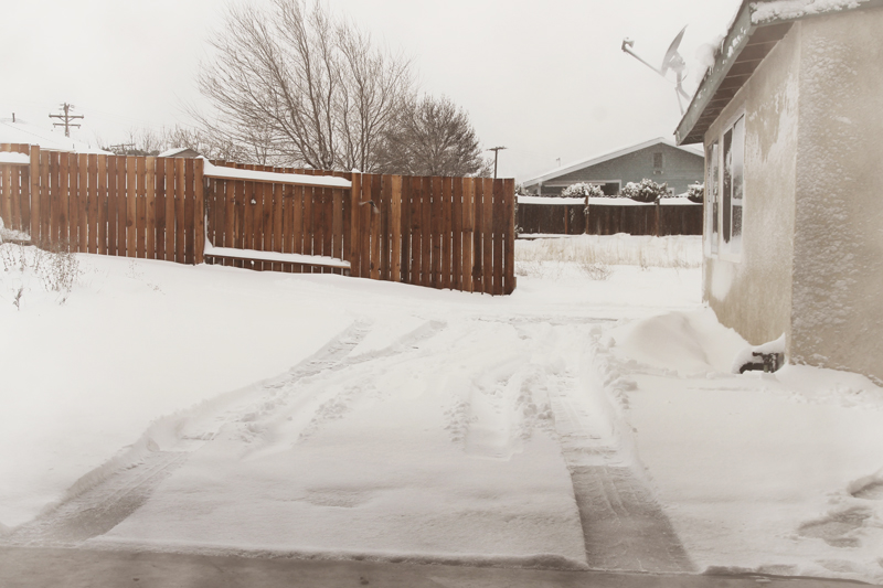 backyard-driveway-snow-fence